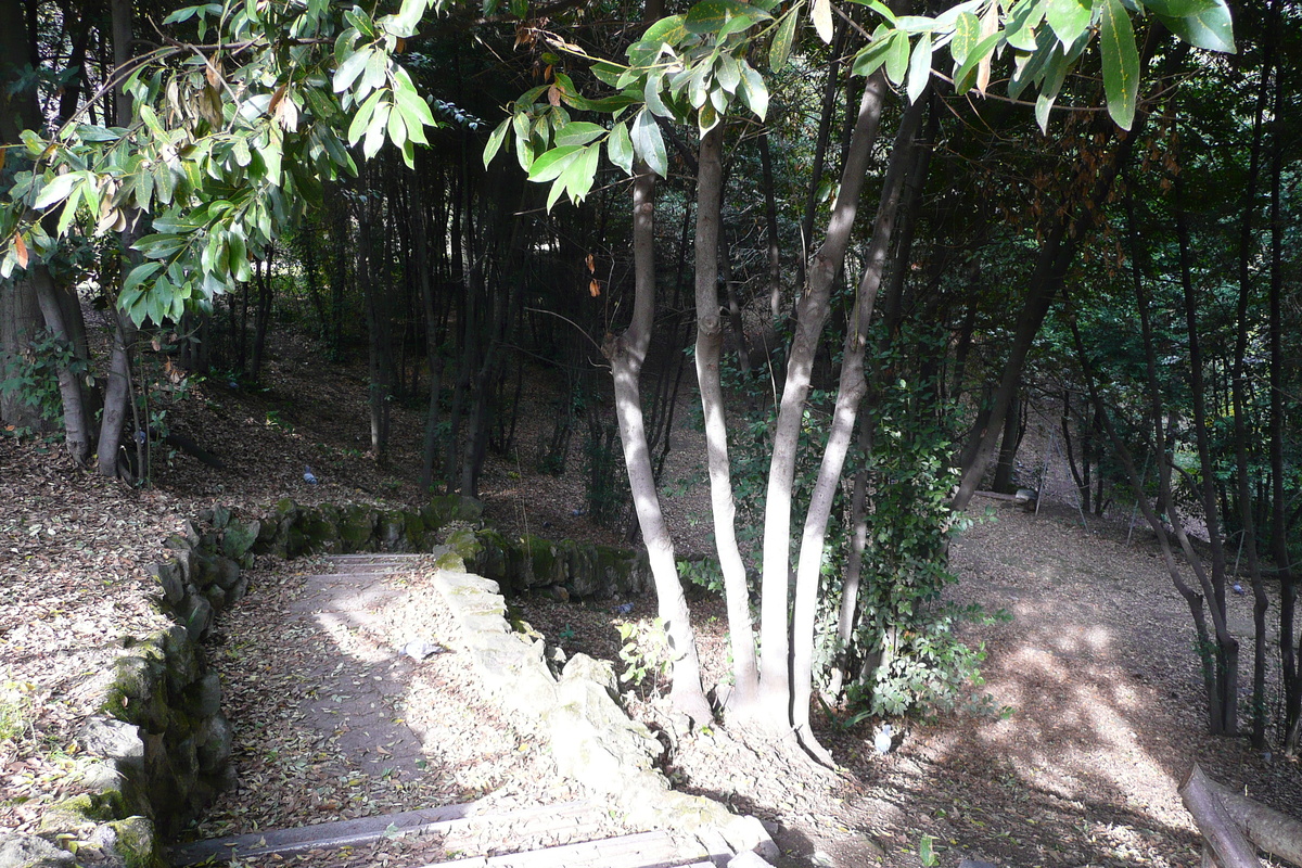 รูปถ่าย อิตาลี(Italy) โรม(Rome) วิลลาชาร์รา(Villa Sciarra) 2007-11 67