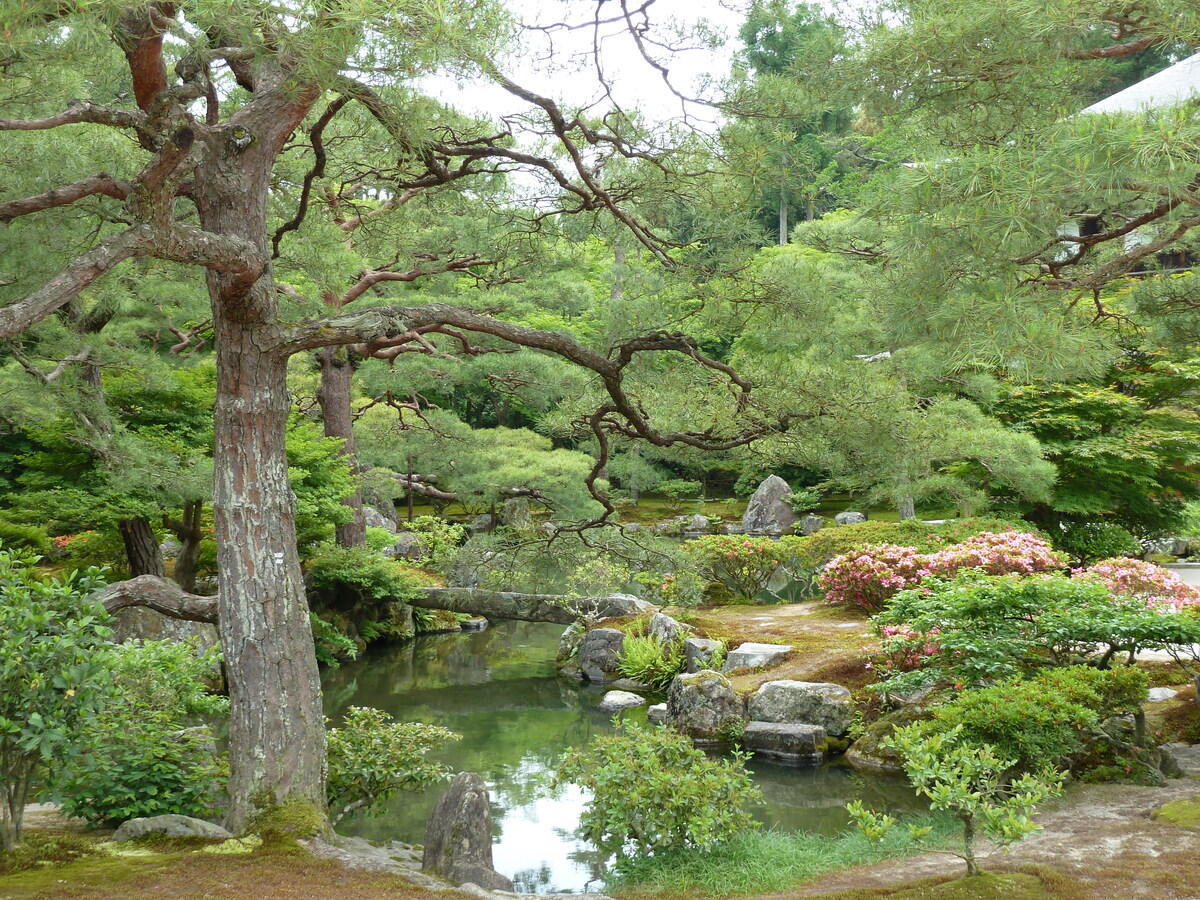 รูปถ่าย ญี่ปุ่น(Japan) เกียวโต(Kyoto) วัดกินกะกุจิ (ศาลาเงิน)(Ginkakuji Temple(Silver Pavilion)) 2010-06 54