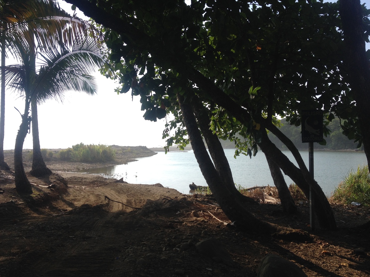 รูปถ่าย คอสตาริกา(Costa Rica) โดมินิกัล(Dominical) 2015-03 61