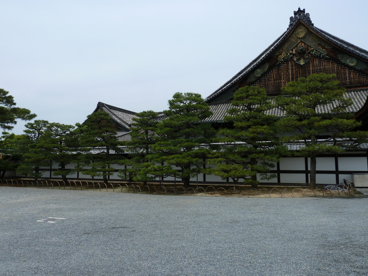 รูปถ่าย ญี่ปุ่น(Japan) เกียวโต(Kyoto) ปราสาทนิโจ(Nijo Castle) 2010-06 98