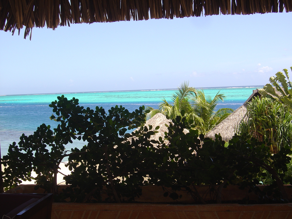 รูปถ่าย เฟรนช์โพลี่นีเซีย(Polynesia) มูเรีย(Moorea) โรงแรมเพิร์ลรีสอร์ต(Pearl Resort Hotel) 2006-04 39