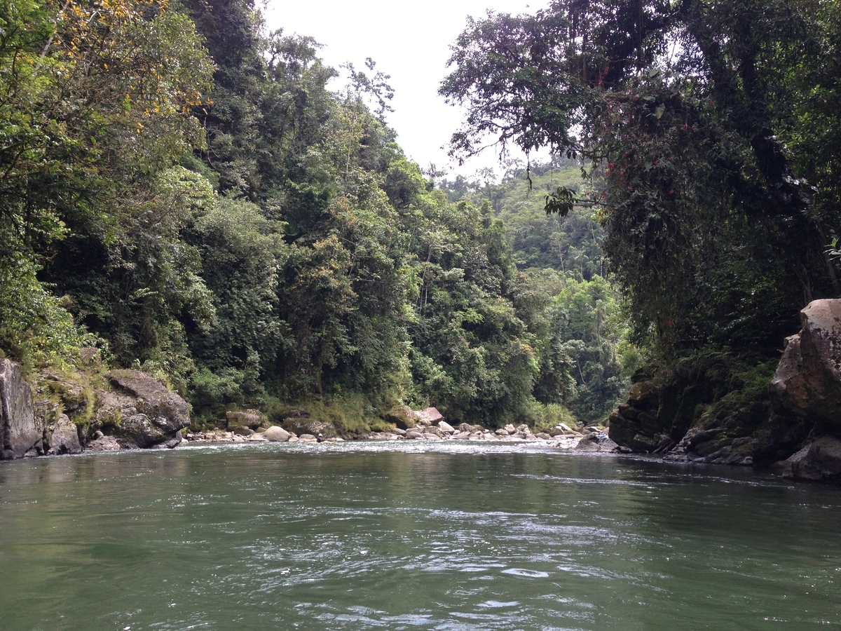 รูปถ่าย คอสตาริกา(Costa Rica) แม่น้ำปากัวเร(Pacuare River) 2015-03 79