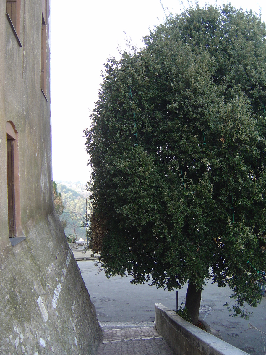 รูปถ่าย ฝรั่งเศส(France) โอต์-เดอ-คาญ(Les Hauts de Cagnes) 2006-01 61