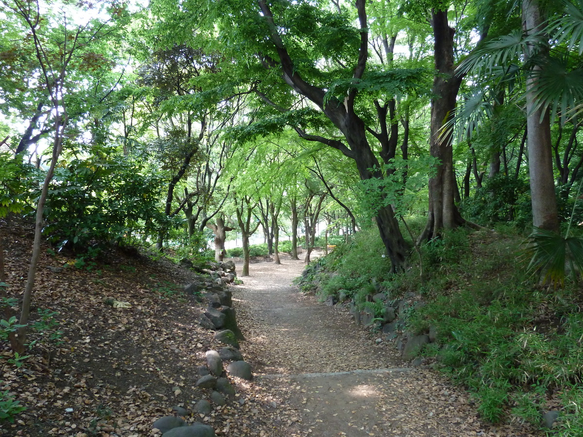 รูปถ่าย ญี่ปุ่น(Japan) โตเกียว(Tokyo) สวนชิบะ(Shiba Park) 2010-06 7