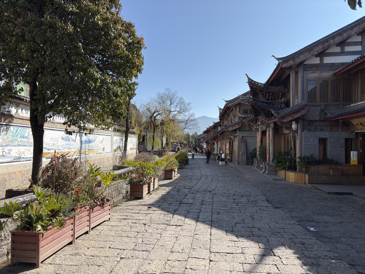 รูปถ่าย จีน(China) ลี่เจียง(Lijiang) 2026-01 453
