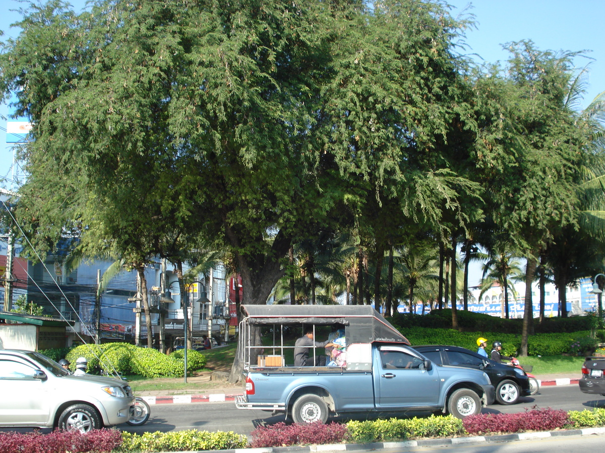 รูปถ่าย ไทย(Thailand) พัทยา(Pattaya) พัทยากลาง(Pattaya Klang) 2008-01 47