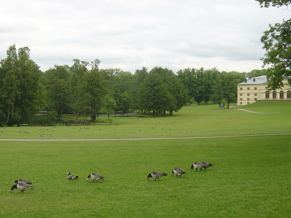 รูปถ่าย สวีเดน(Sweden) ดร็ทท์นิงโฮล์ม(Drottningholm) 2005-06 6