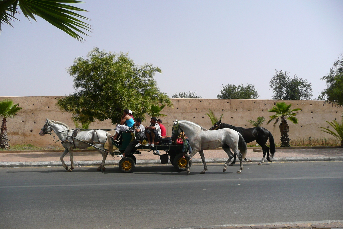 รูปถ่าย โมร็อกโก(Morocco) เม็กเนส(Meknes) 2008-07 51