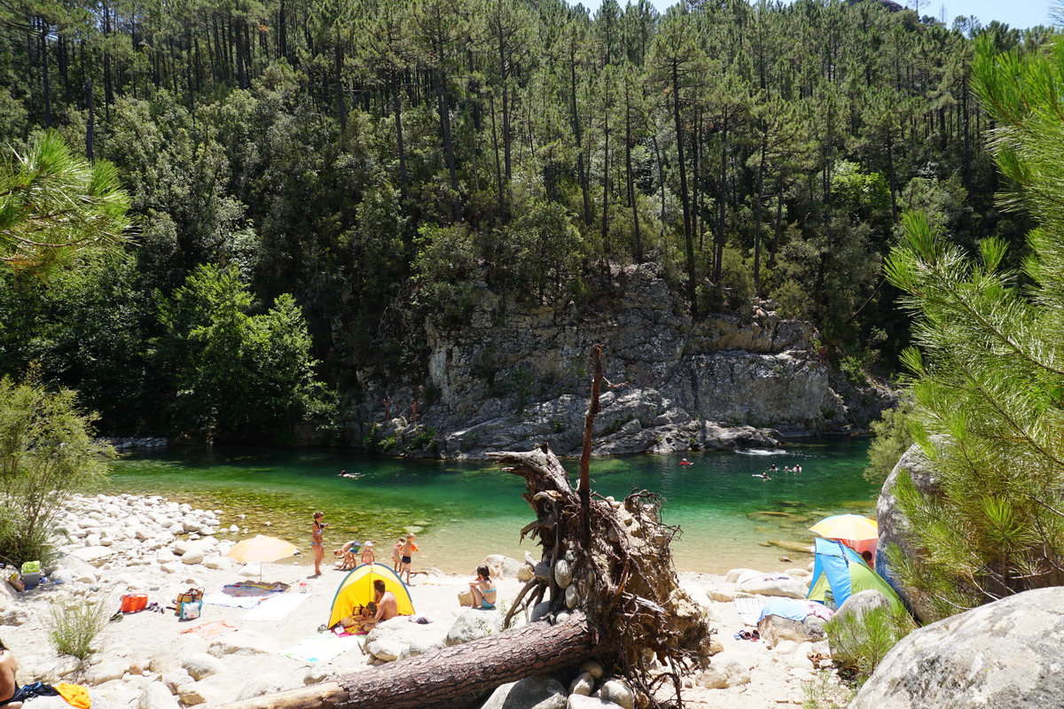 รูปถ่าย ฝรั่งเศส(France) คอร์สิคา(Corsica) โซเลนซารา(Solenzara) 2017-07 4
