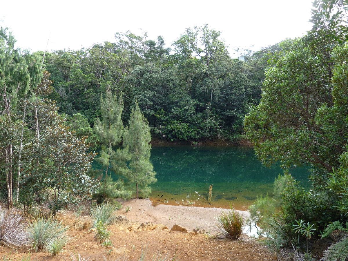 รูปถ่าย นิวแคลิโดเนีย(New Caledonia) อุทยานริเวียร์เบลอ(Parc de la Riviere Bleue) 2010-05 154