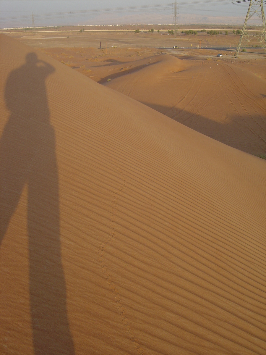 รูปถ่าย สหรัฐอาหรับเอมิเรตส์(United Arab Emirates) อาเลอิน(Al Ain) ทะเล(Desert) 2005-11 12