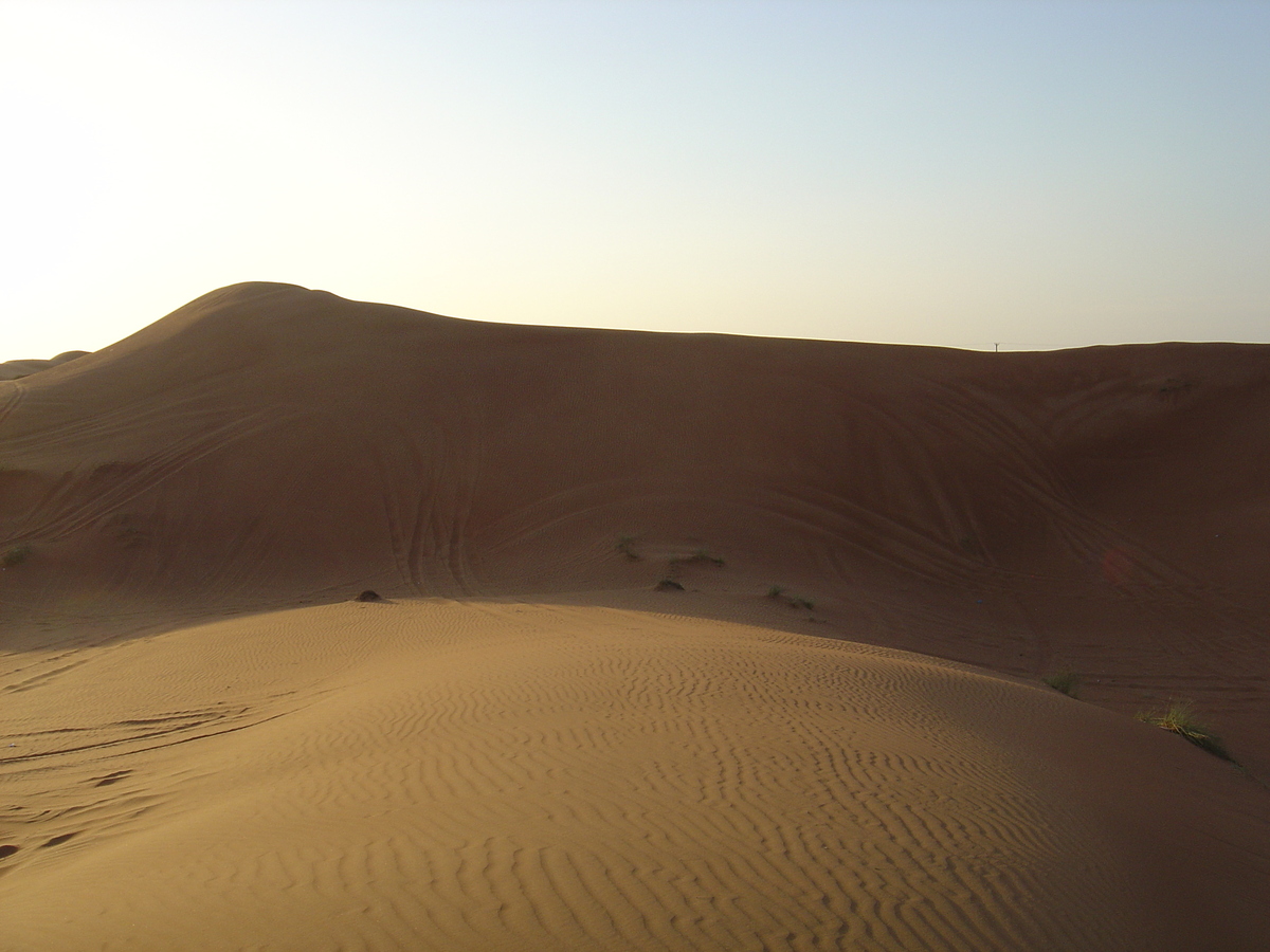 รูปถ่าย สหรัฐอาหรับเอมิเรตส์(United Arab Emirates) อาเลอิน(Al Ain) ทะเล(Desert) 2005-11 23