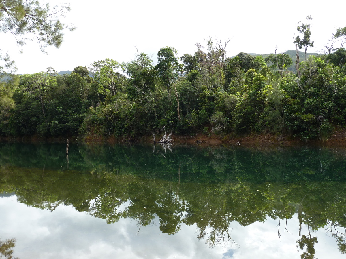 รูปถ่าย นิวแคลิโดเนีย(New Caledonia) อุทยานริเวียร์เบลอ(Parc de la Riviere Bleue) 2010-05 150