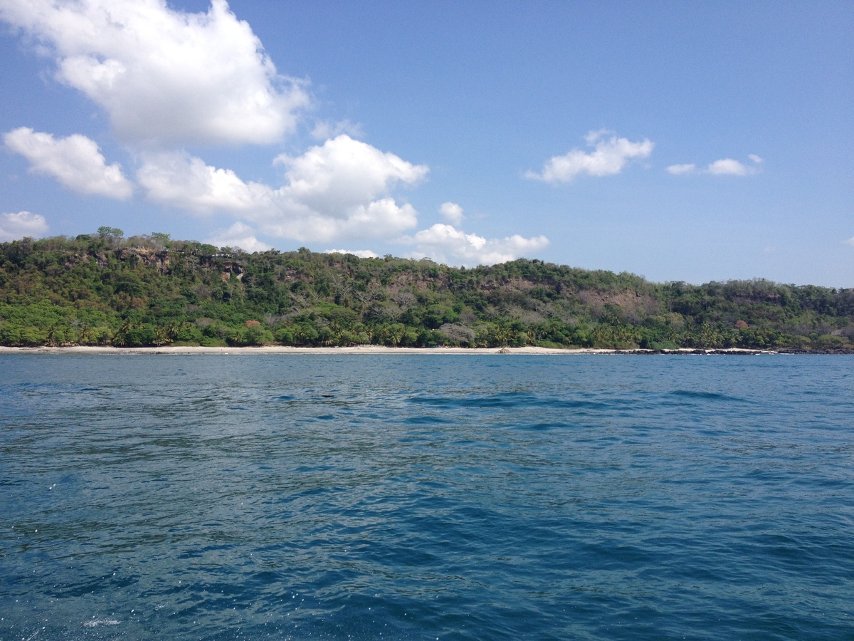 รูปถ่าย คอสตาริกา(Costa Rica) มอนเตซูมา(Montezuma) 2015-03 367