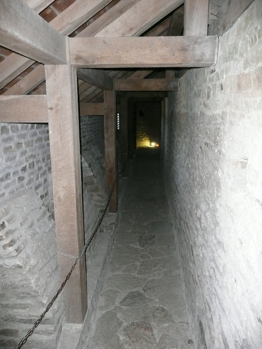 รูปถ่าย ฝรั่งเศส(France) ซืสซีนีโอ(Suscinio) ปราสาทซูซีนีโอ(Suscinio Castle) 2007-09 155