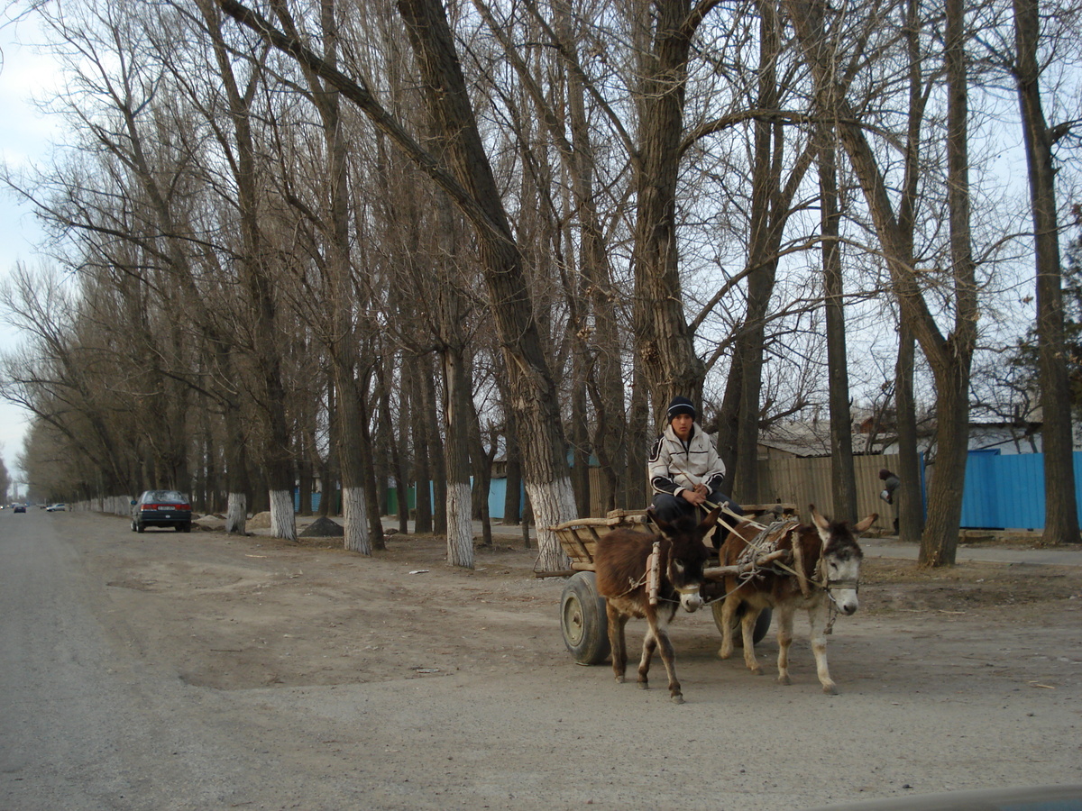 รูปถ่าย คาซัคสถาน(Kazakhstan) ถนนจากอัลมาตีไปหุบผาชารึน(Almaty to Charyn Canyon road) 2007-03 71