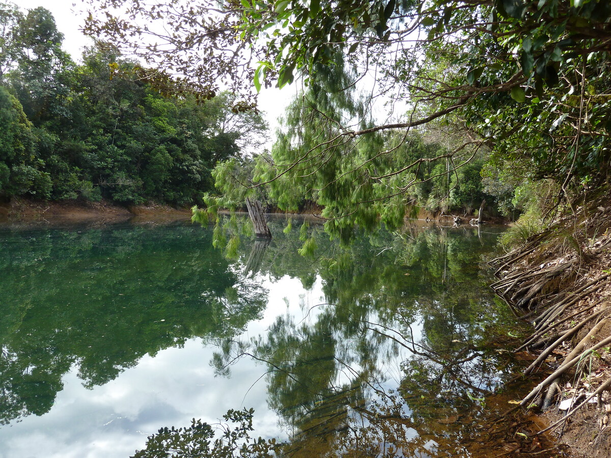 รูปถ่าย นิวแคลิโดเนีย(New Caledonia) 2010-05 118