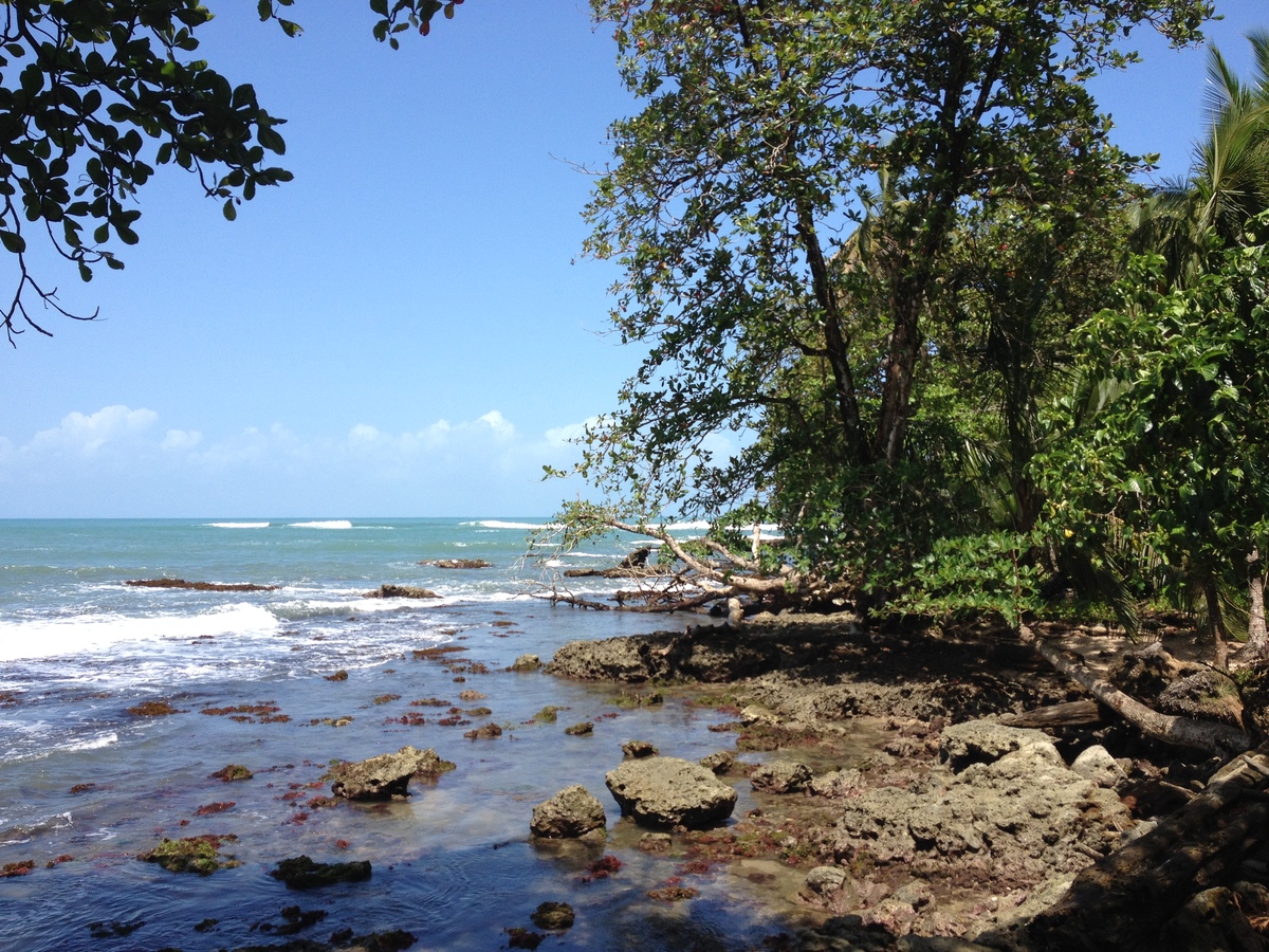 รูปถ่าย คอสตาริกา(Costa Rica) กาอุยตา(Cahuita) 2015-03 42