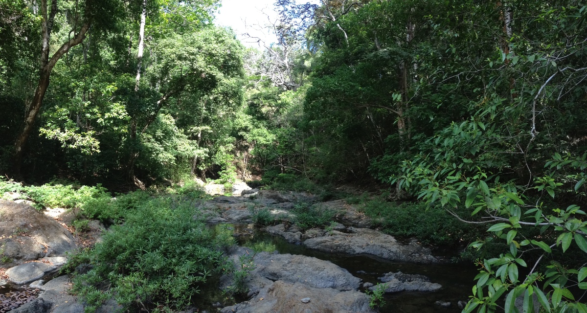 รูปถ่าย คอสตาริกา(Costa Rica) มอนเตซูมา(Montezuma) 2015-03 465