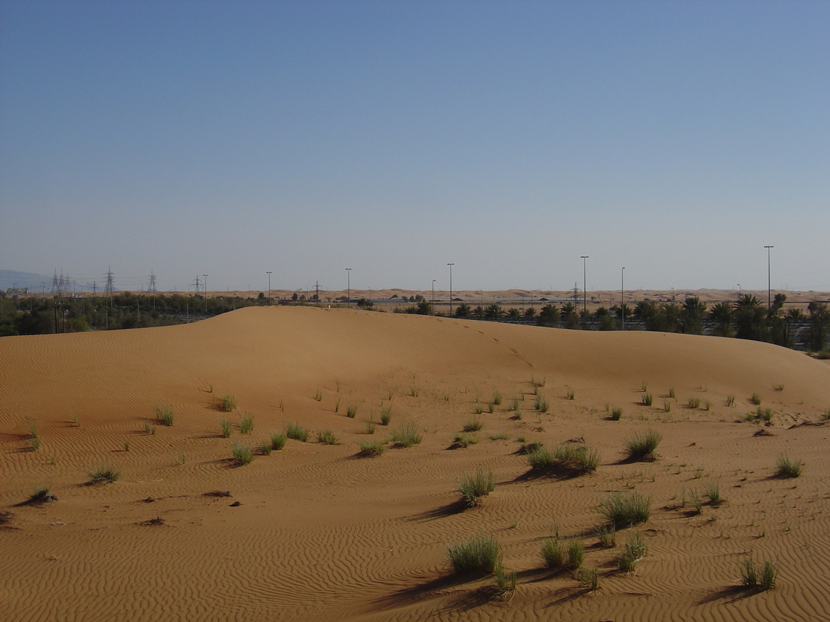 รูปถ่าย สหรัฐอาหรับเอมิเรตส์(United Arab Emirates) จากดูไบไปถนนอัลอิน(Dubai to Al Ain road) 2005-03 53