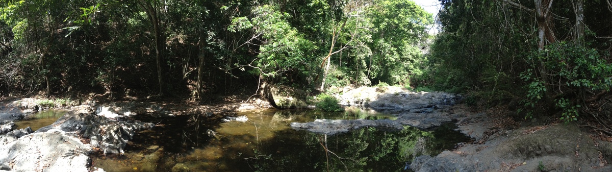 รูปถ่าย คอสตาริกา(Costa Rica) มอนเตซูมา(Montezuma) 2015-03 449