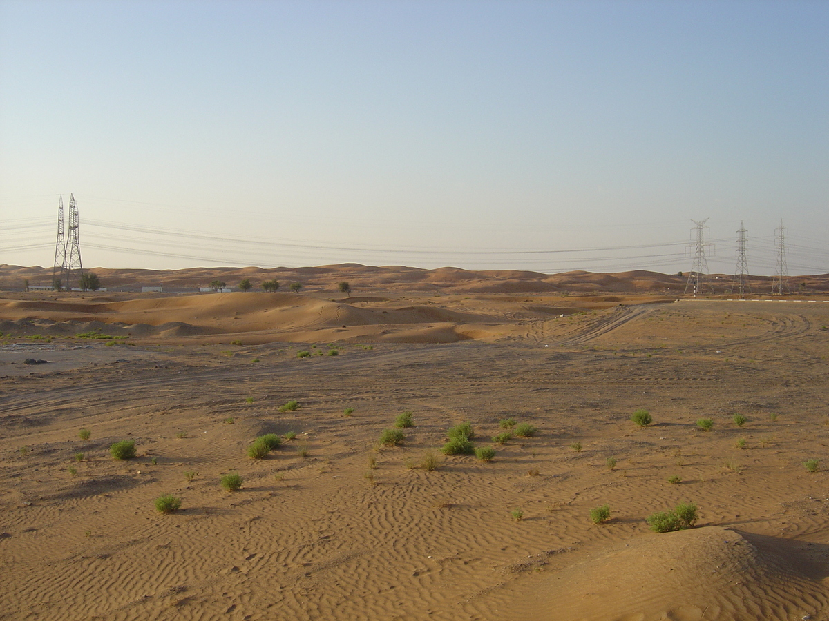 รูปถ่าย สหรัฐอาหรับเอมิเรตส์(United Arab Emirates) อาเลอิน(Al Ain) ทะเล(Desert) 2005-11 19