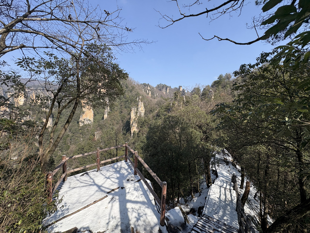 รูปถ่าย จีน(China) จางเจียเจี้ย(Zhangjiajie) ภูเขาเทียนจื่อ(Tianzi Mountain) 2026-01 28