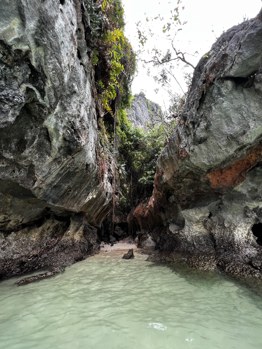 รูปถ่าย ไทย(Thailand) กระบี่(Krabi) 2023-01 180