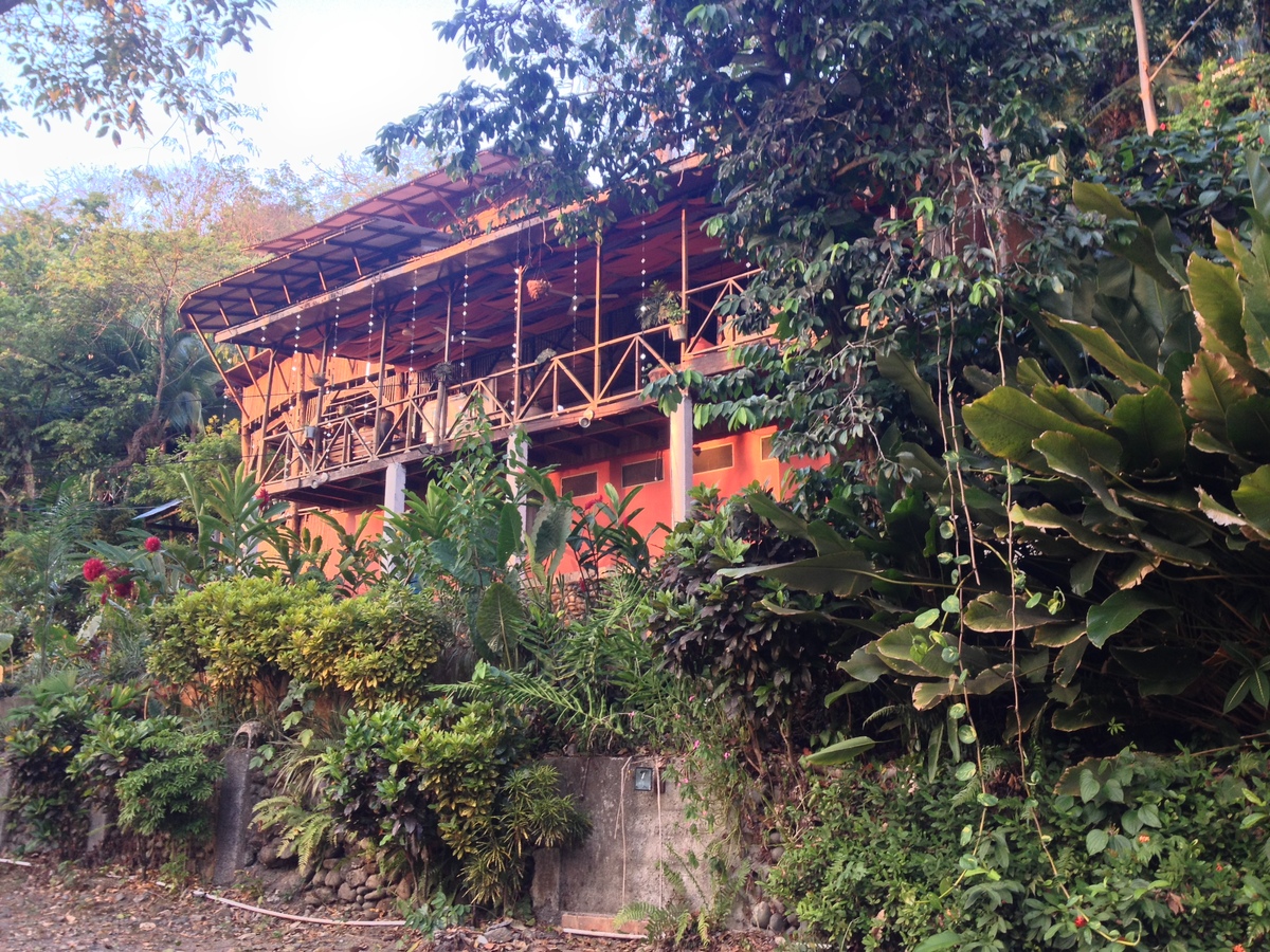 รูปถ่าย คอสตาริกา(Costa Rica) มานวยล์อันโตนีโอ(Manuel Antonio) 2015-03 444