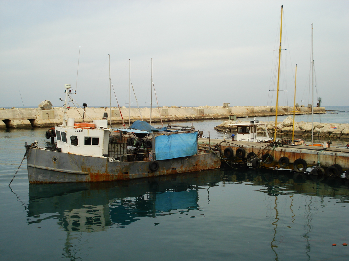 รูปถ่าย อิสราเอล(Israel) จาฟา(Jaffa) 2006-12 49