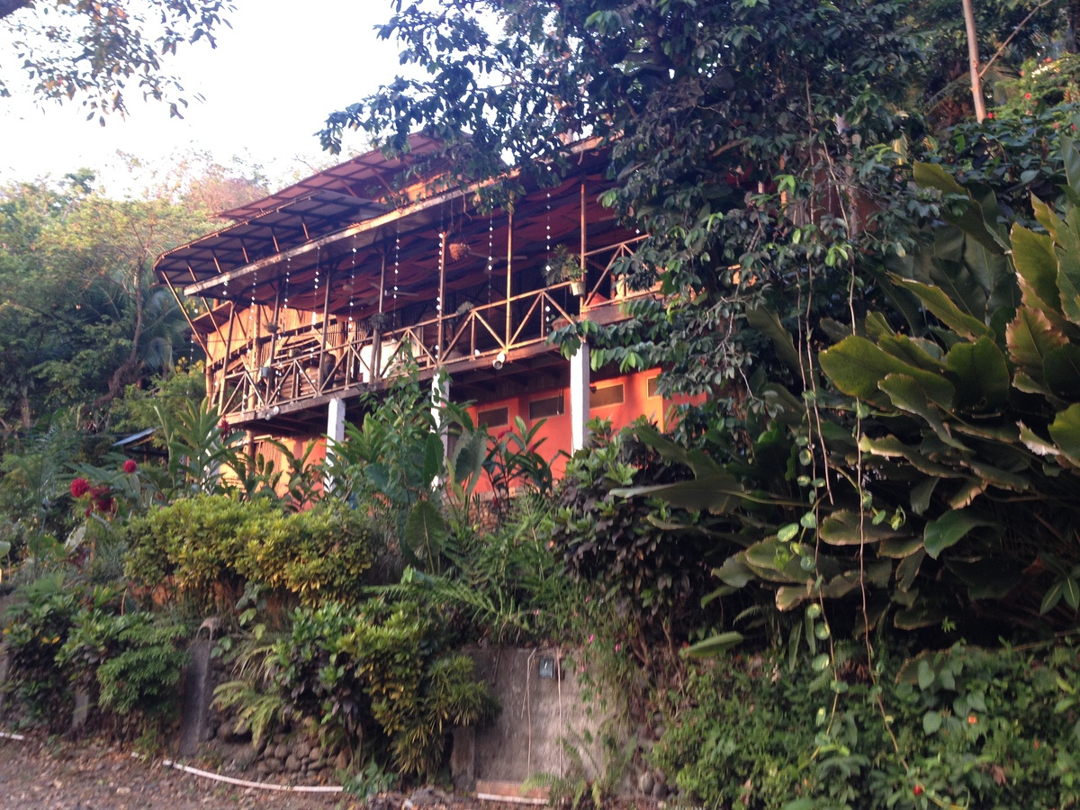 รูปถ่าย คอสตาริกา(Costa Rica) มานวยล์อันโตนีโอ(Manuel Antonio) 2015-03 463