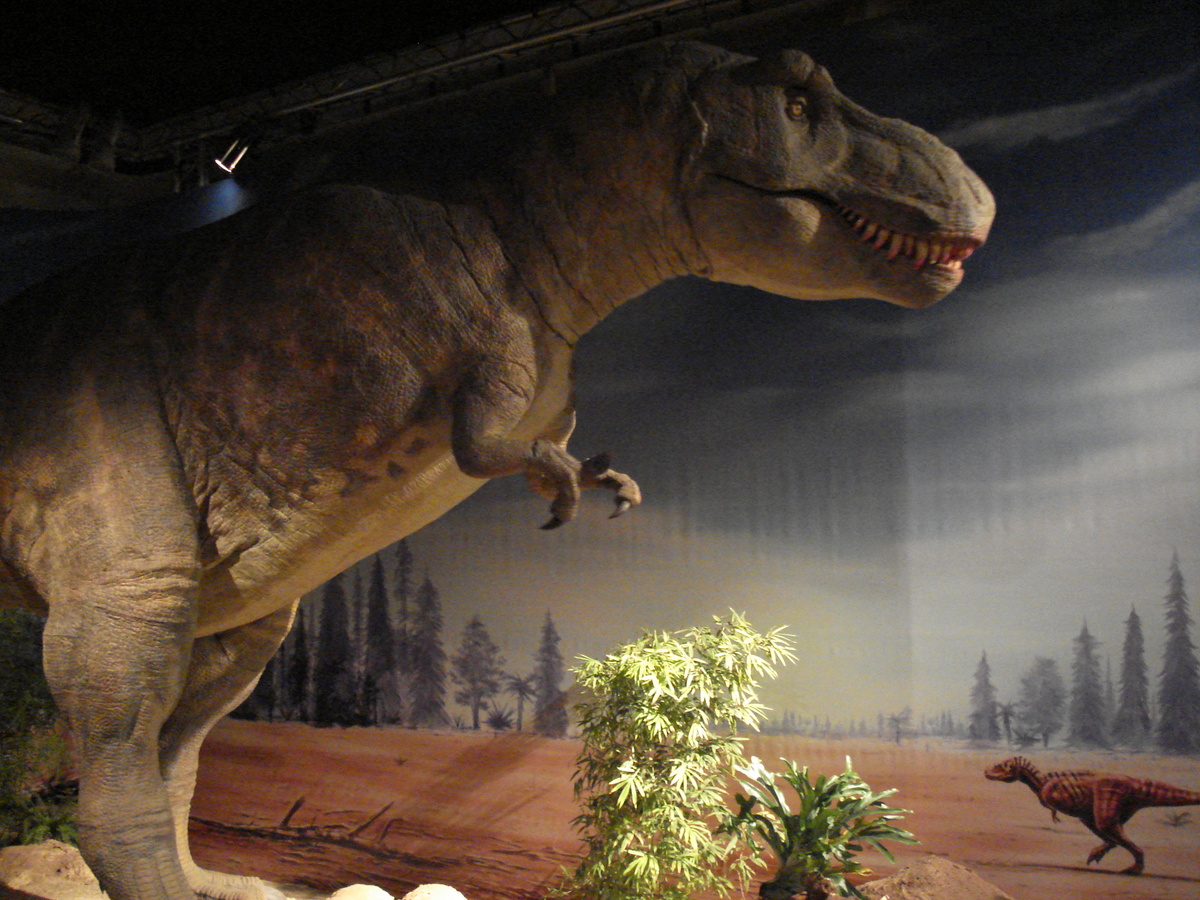 รูปถ่าย ฝรั่งเศส(France) ปารีส(Paris) ปาเลเดอลาเดกูแวร์ต(Palace of Discovery) 2006-04 47