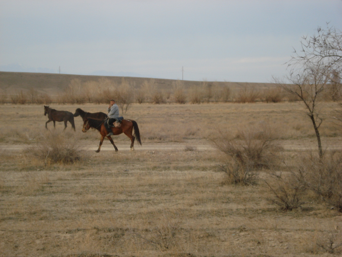 รูปถ่าย คาซัคสถาน(Kazakhstan) ถนนจากอัลมาตีไปหุบผาชารึน(Almaty to Charyn Canyon road) 2007-03 86