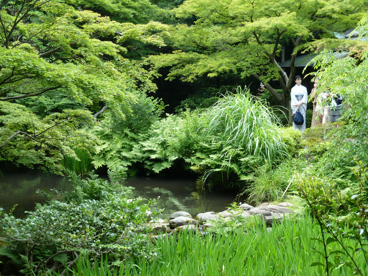รูปถ่าย ญี่ปุ่น(Japan) โตเกียว(Tokyo) พิพิธภัณฑ์เนซุ(Nezu Museum) 2010-06 87