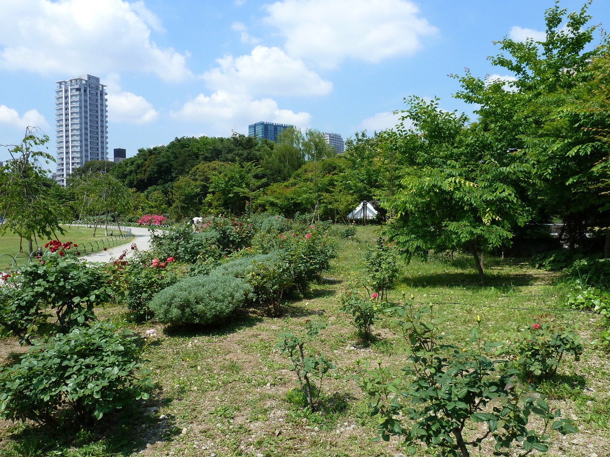 รูปถ่าย ญี่ปุ่น(Japan) โตเกียว(Tokyo) สวนชิบะ(Shiba Park) 2010-06 27