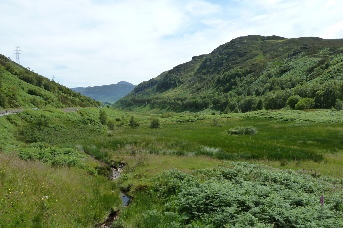 รูปถ่าย อังกฤษ(United Kingdom) ทรอสซักส์(The Trossachs) 2011-07 78