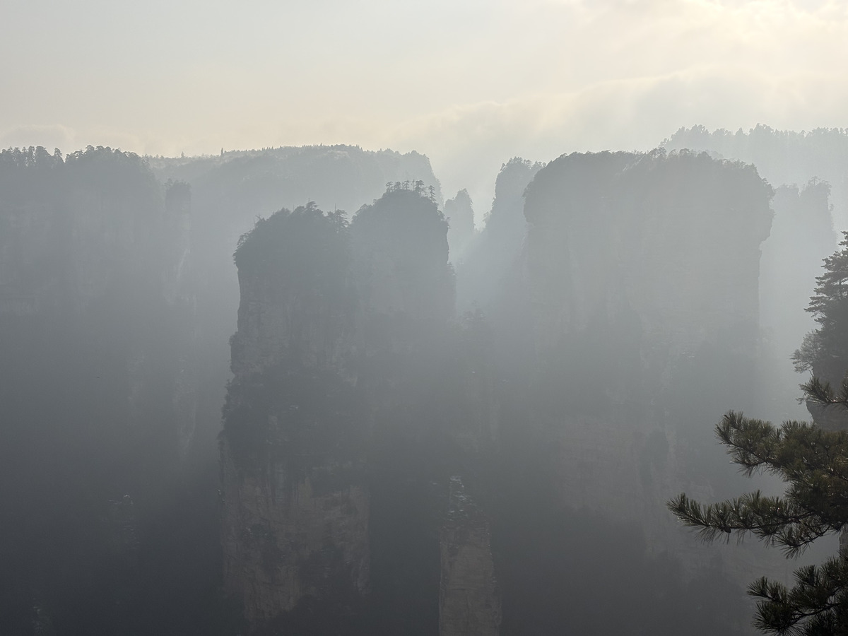 รูปถ่าย จีน(China) จางเจียเจี้ย(Zhangjiajie) 2026-01 282