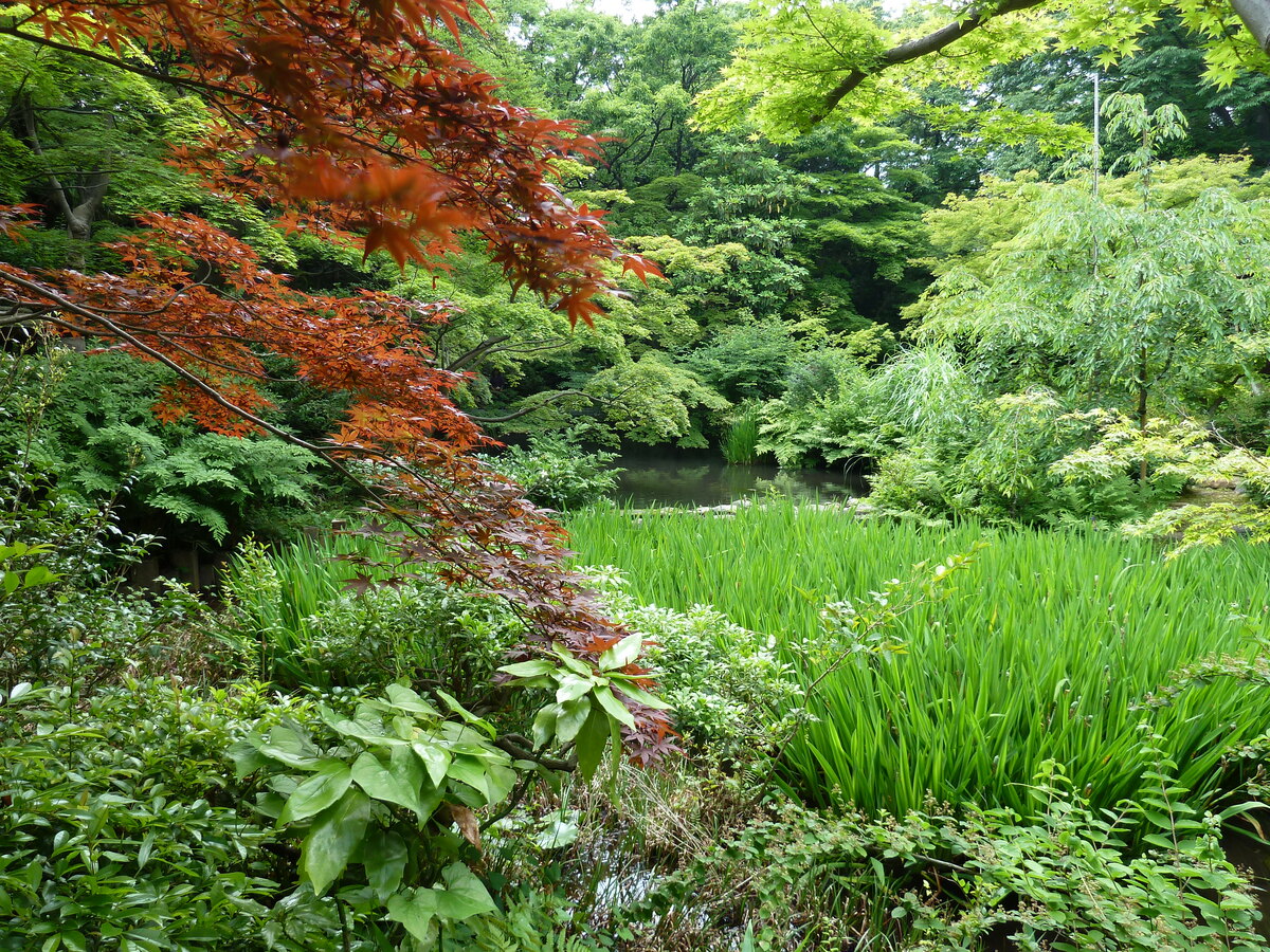 รูปถ่าย ญี่ปุ่น(Japan) โตเกียว(Tokyo) พิพิธภัณฑ์เนซุ(Nezu Museum) 2010-06 49