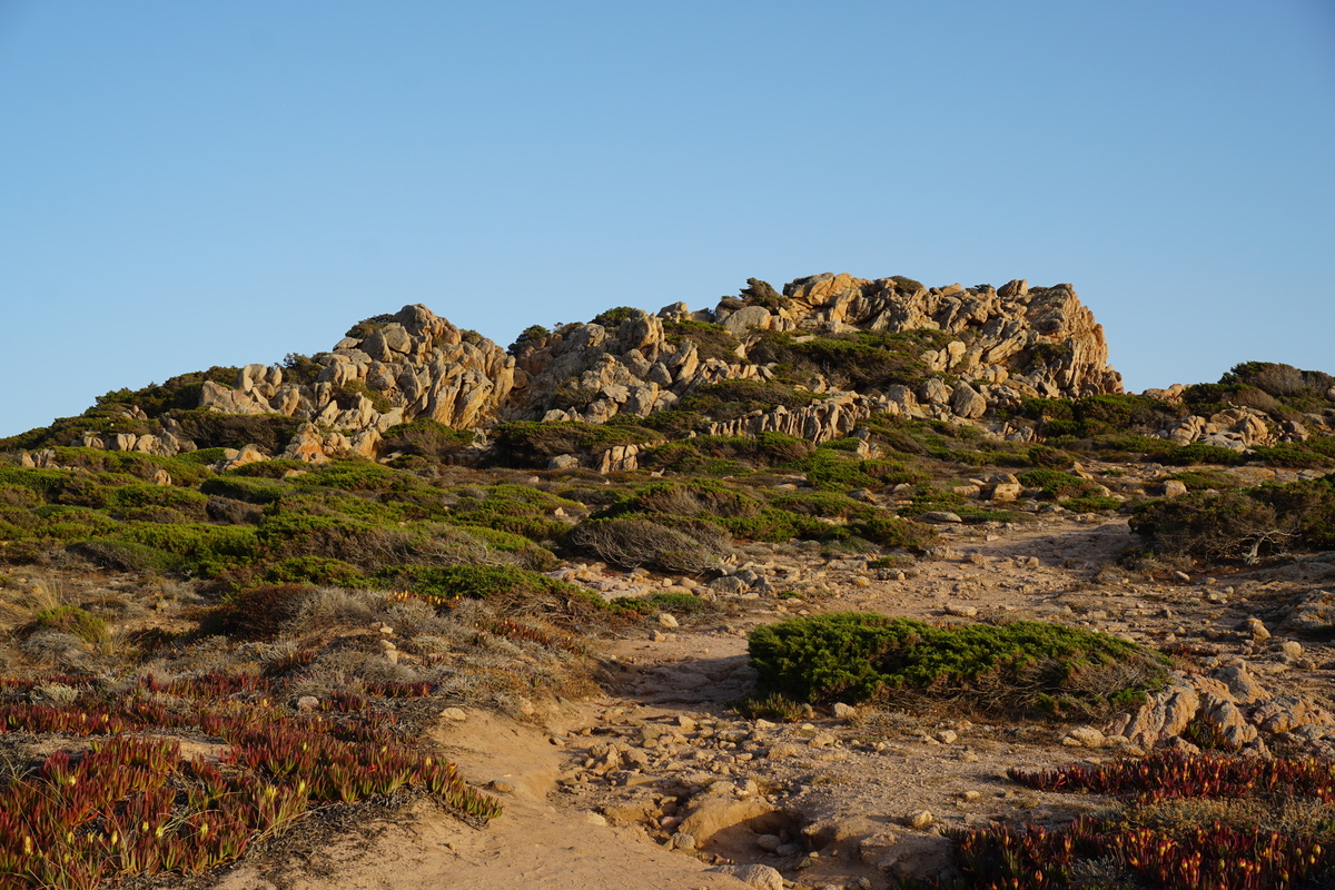 รูปถ่าย ฝรั่งเศส(France) คอร์สิคา(Corsica) หาดตอนนารา(Tonnara Beach) 2017-07 43
