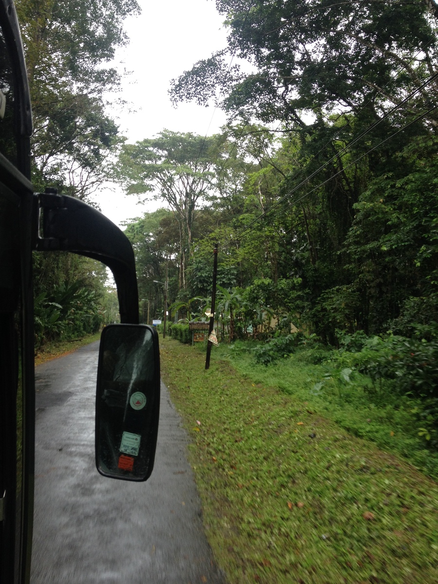 รูปถ่าย คอสตาริกา(Costa Rica) ปวยร์โตเบียโฆเดตาลามังกา(Puerto Viejo de Talamanca) 2015-03 95