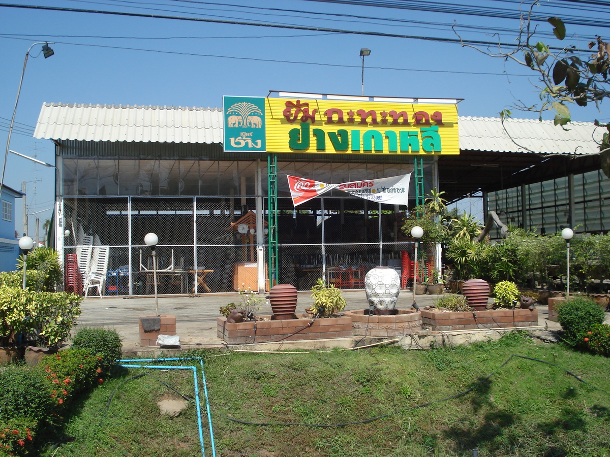 รูปถ่าย ไทย(Thailand) พิษณุโลก(Phitsanulok) ถนนมิตรภาพ(Mittraparp Road) 2008-01 67