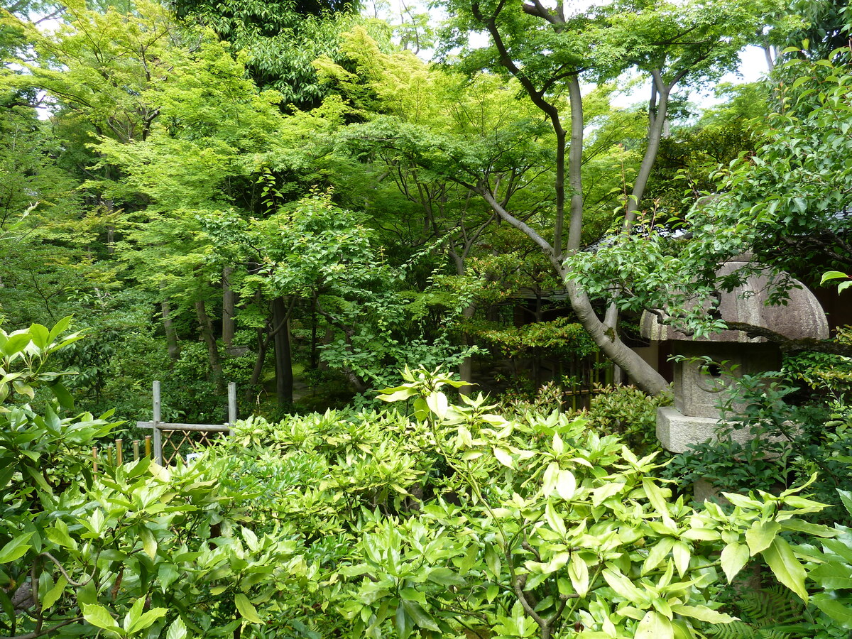 รูปถ่าย ญี่ปุ่น(Japan) โตเกียว(Tokyo) พิพิธภัณฑ์เนซุ(Nezu Museum) 2010-06 40