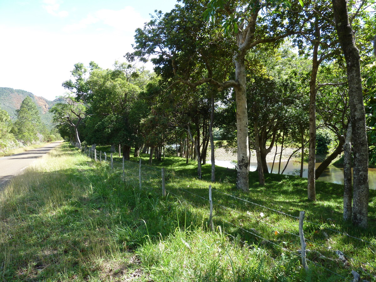 รูปถ่าย นิวแคลิโดเนีย(New Caledonia) ถนนจากทีโอไปกานาลา(Thio to Canala road) 2010-05 43