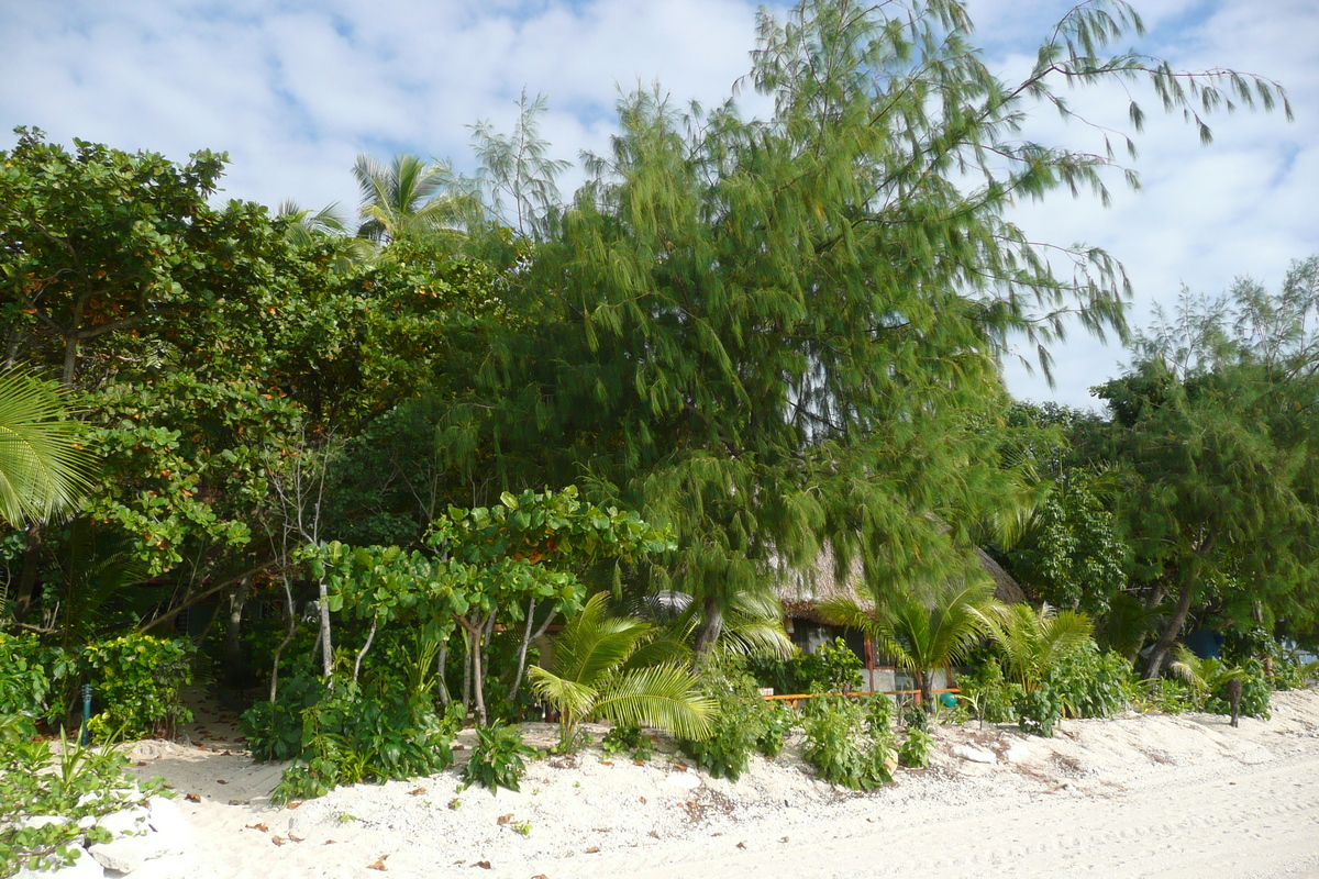 รูปถ่าย ฟิจิ(Fiji) เกาะบีชโคมเบอร์(Beachcomber Island) 2010-05 26