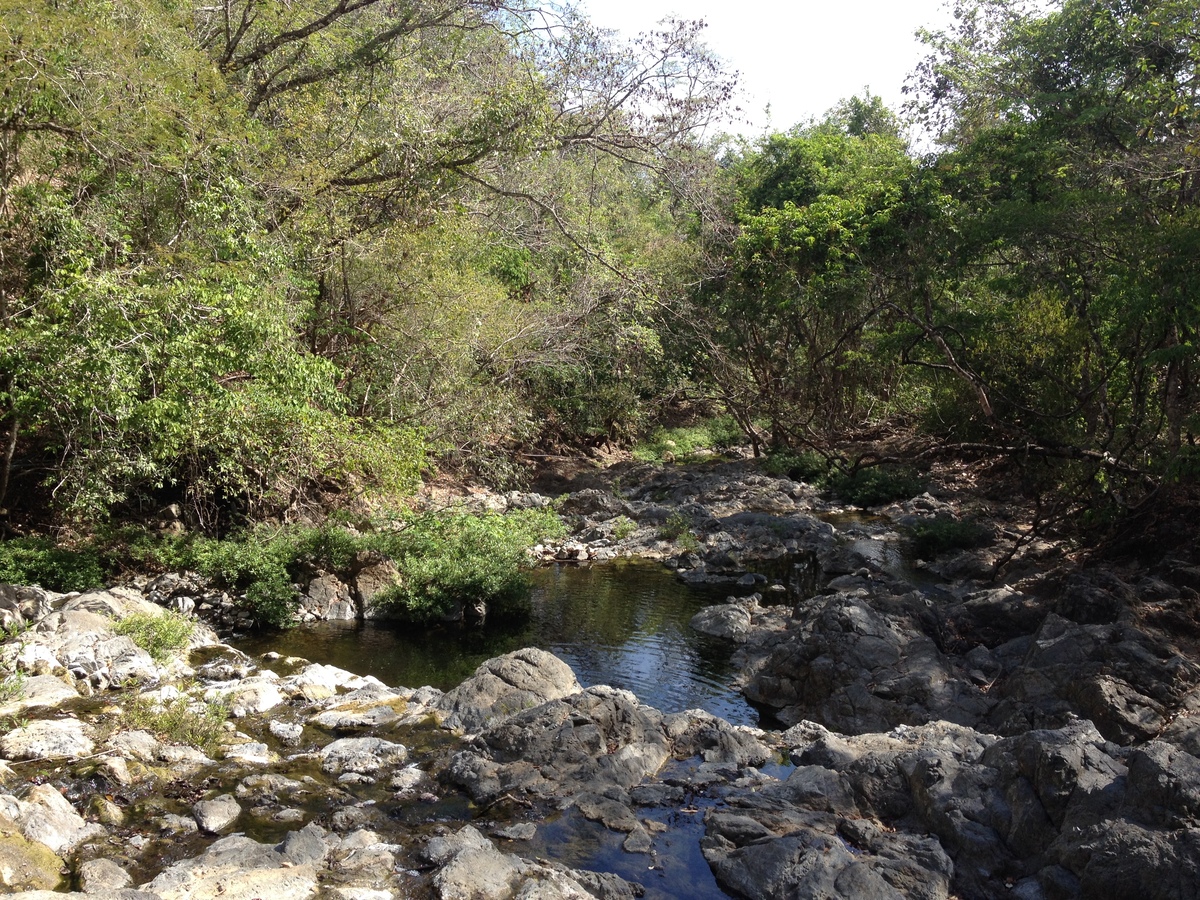 รูปถ่าย คอสตาริกา(Costa Rica) มอนเตซูมา(Montezuma) 2015-03 450