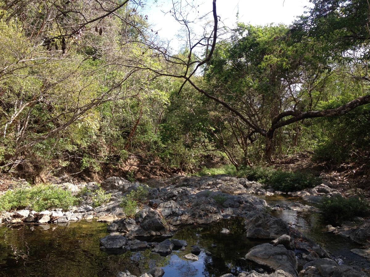 รูปถ่าย คอสตาริกา(Costa Rica) มอนเตซูมา(Montezuma) 2015-03 372