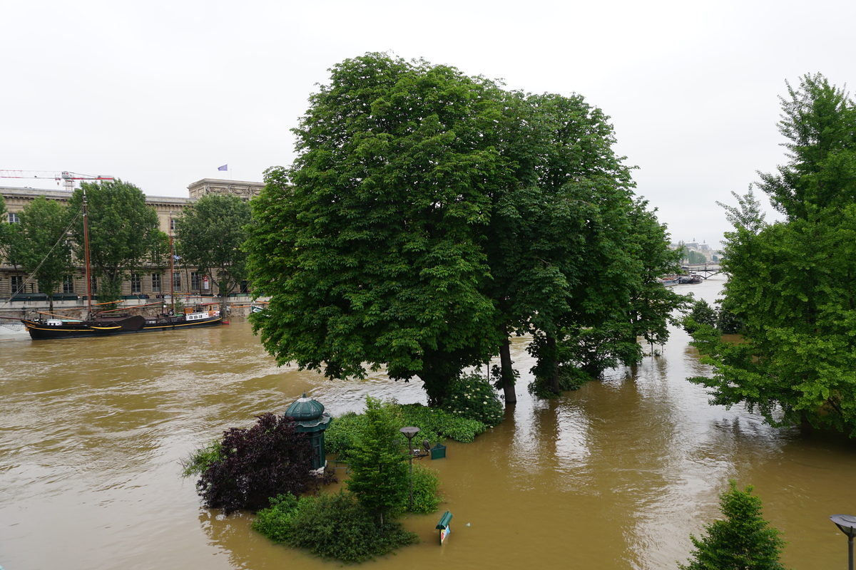รูปถ่าย ฝรั่งเศส(France) ปารีส(Paris) แม่น้ำแซน(Seine river) 2016-06 52