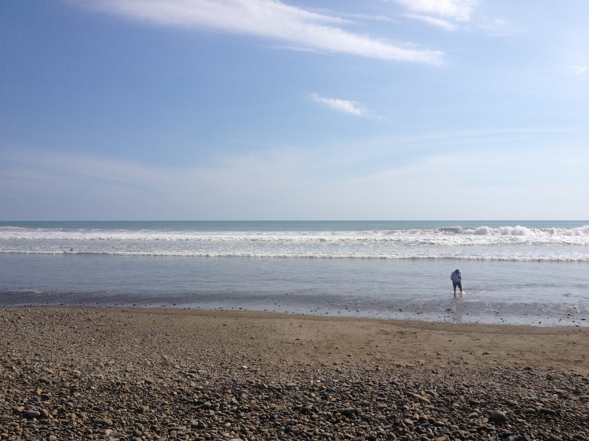 รูปถ่าย คอสตาริกา(Costa Rica) โดมินิกัล(Dominical) 2015-03 144