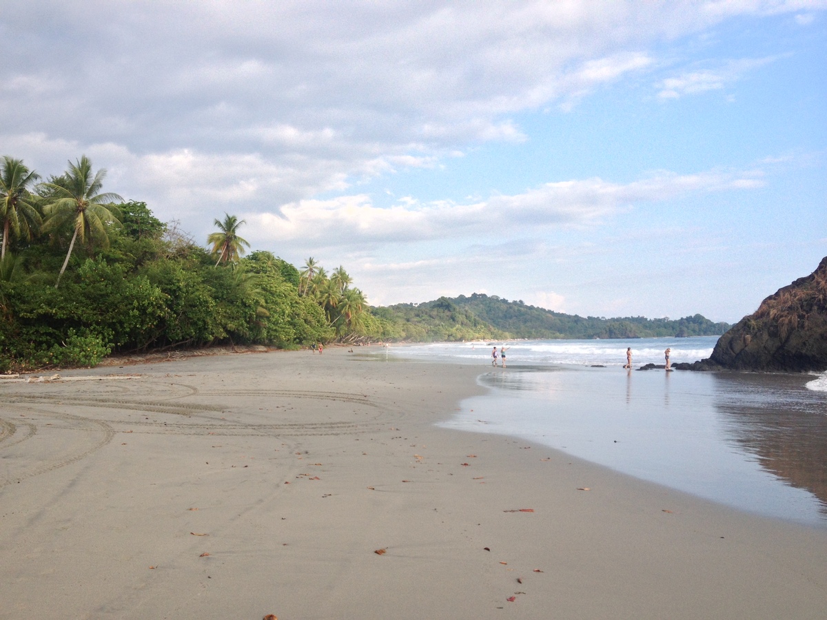 รูปถ่าย คอสตาริกา(Costa Rica) มานวยล์อันโตนีโอ(Manuel Antonio) 2015-03 519