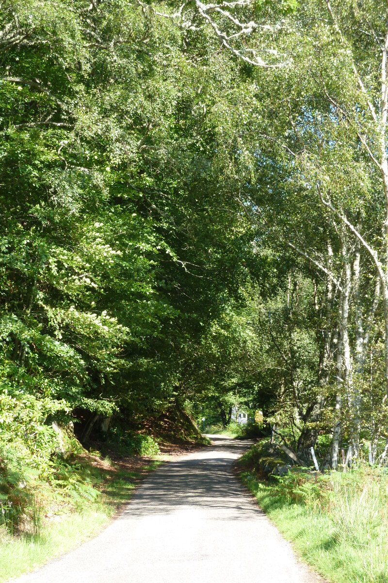 รูปถ่าย อังกฤษ(United Kingdom) สกอตแลนด์(Scotland) เซเลน(Salen) 2011-07 50